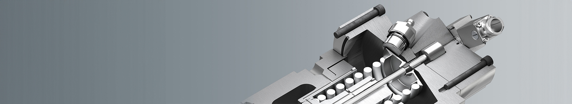 Design & Development