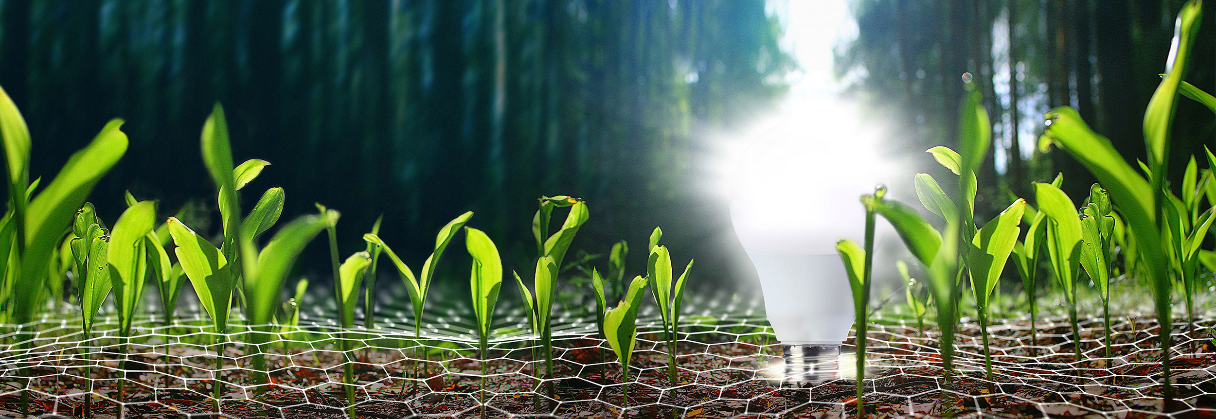 Powerplant Solutions